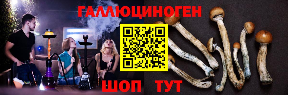 Псилоцибиновые грибы мицелий Полысаево