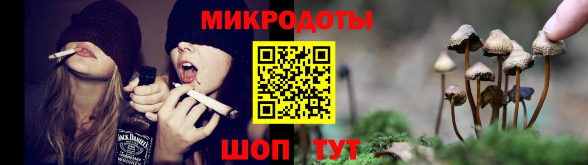 Псилоцибиновые грибы Psilocybe  наркота  Полысаево  Вход с VPN  Псилоцибиновые грибы Cubensis 